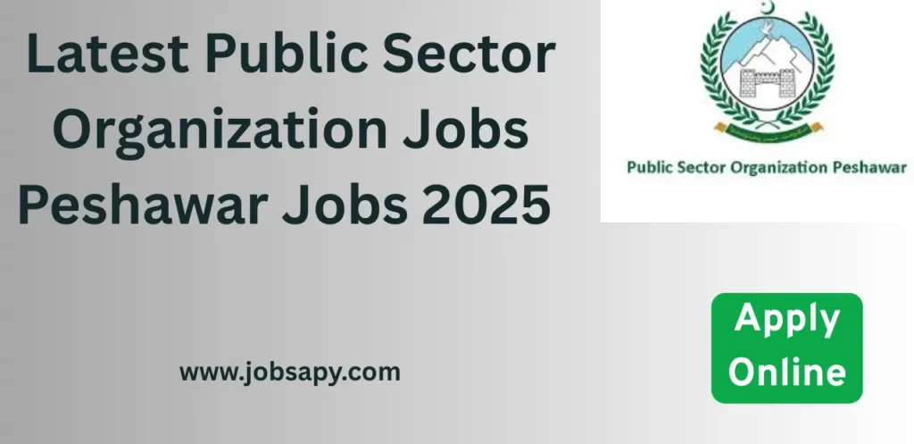 Latest Public Sector Organization Jobs Peshawar Jobs 2025