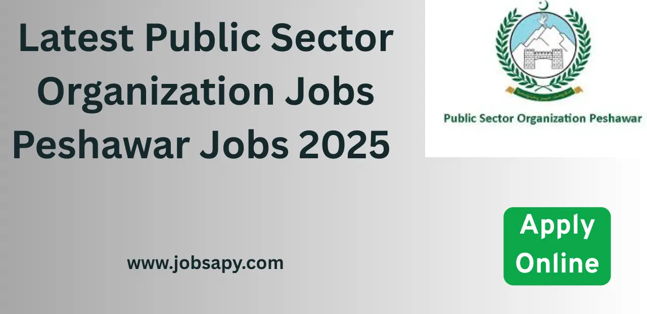 Latest Public Sector Organization Jobs Peshawar Jobs 2025